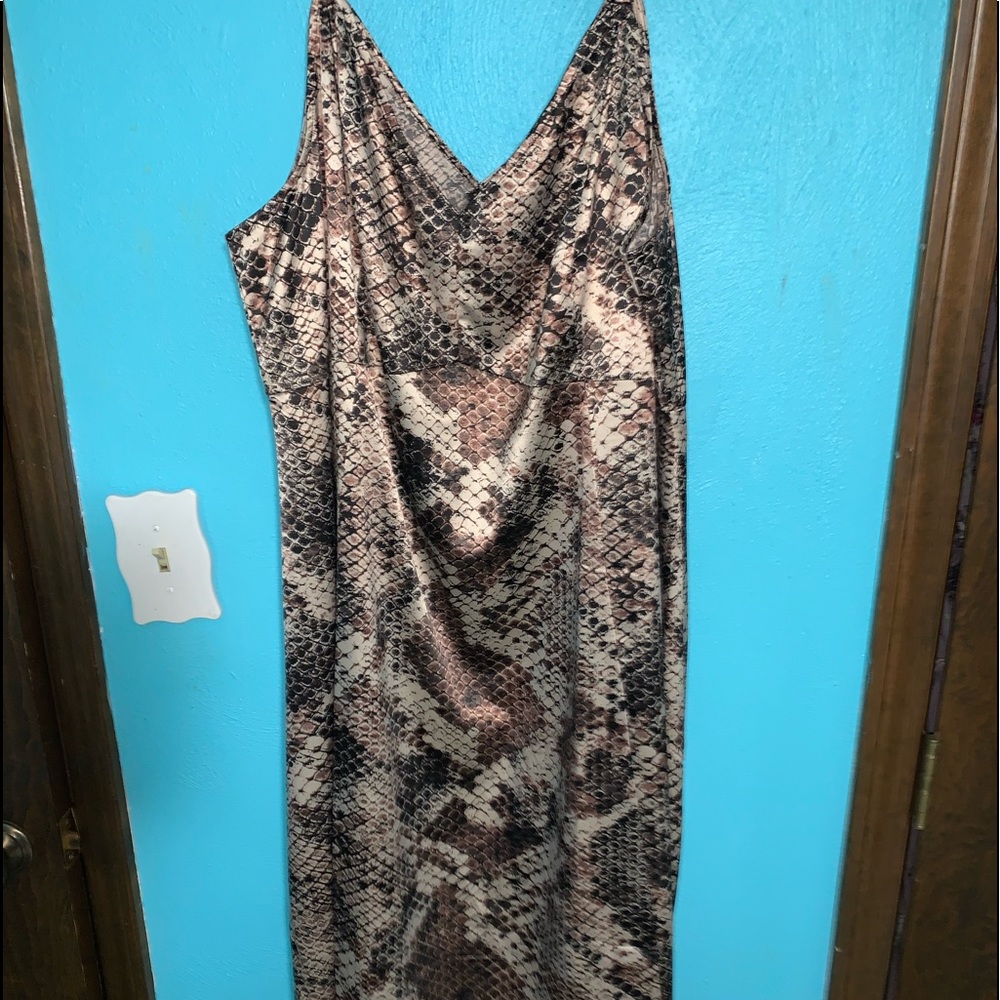 Torrid snakeskin dress